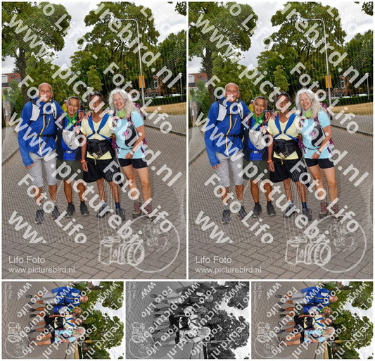 Evenement foto: Nijmeegse Vierdaagse 1165