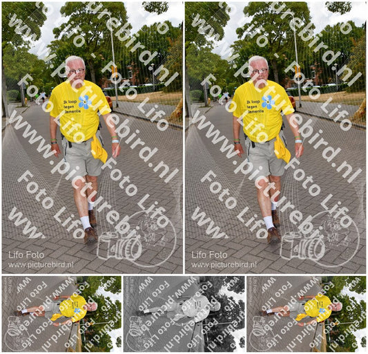 Evenement foto: Nijmeegse Vierdaagse 1165