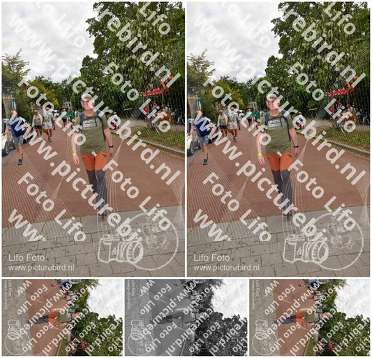 Evenement foto: Nijmeegse Vierdaagse 1165