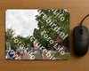 Evenement foto: Nijmeegse Vierdaagse 1165