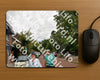 Evenement foto: Nijmeegse Vierdaagse 1165