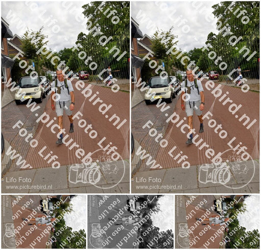 Evenement foto: Nijmeegse Vierdaagse 1165