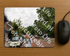 Evenement foto: Nijmeegse Vierdaagse 1165