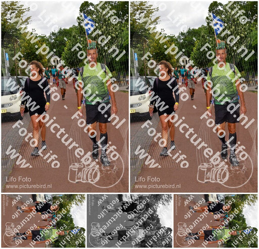 Evenement foto: Nijmeegse Vierdaagse 1165