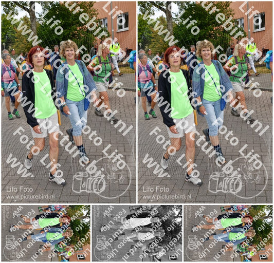 Evenement foto: Nijmeegse Vierdaagse 1164