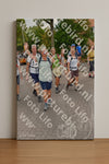 Evenement foto: Nijmeegse Vierdaagse 1164
