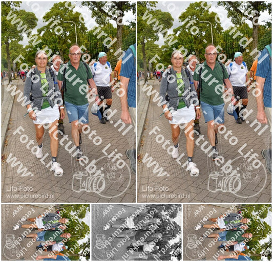 Evenement foto: Nijmeegse Vierdaagse 1164