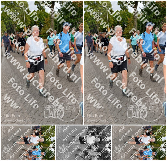 Evenement foto: Nijmeegse Vierdaagse 1164