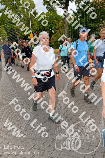 Evenement foto: Nijmeegse Vierdaagse 1164