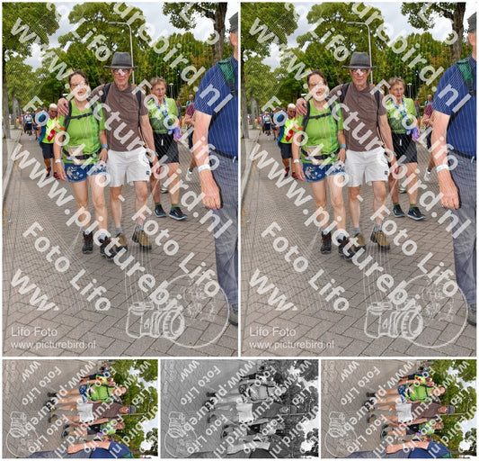 Evenement foto: Nijmeegse Vierdaagse 1164