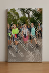Evenement foto: Nijmeegse Vierdaagse 1164