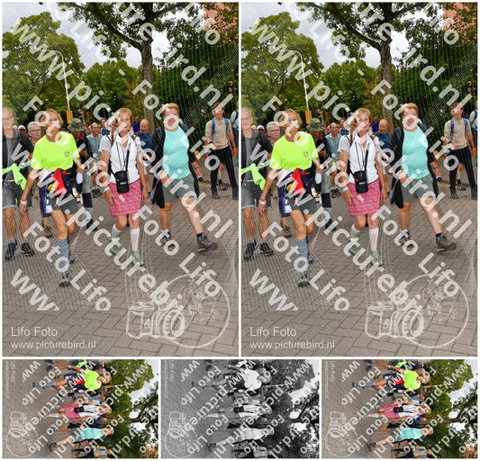 Evenement foto: Nijmeegse Vierdaagse 1164