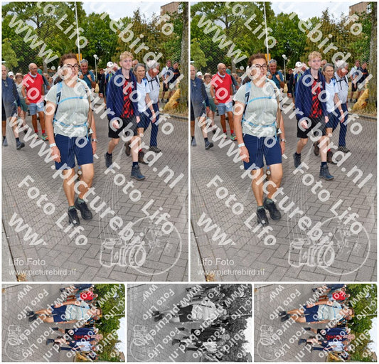 Evenement foto: Nijmeegse Vierdaagse 1164