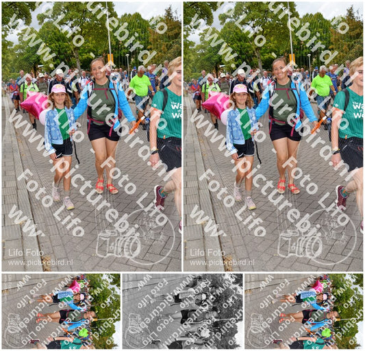 Evenement foto: Nijmeegse Vierdaagse 1164