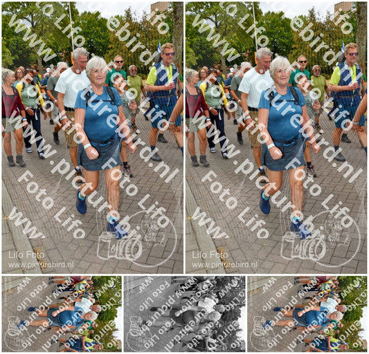 Evenement foto: Nijmeegse Vierdaagse 1164