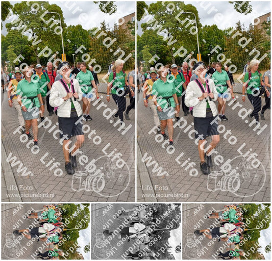 Evenement foto: Nijmeegse Vierdaagse 1164