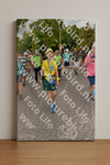 Evenement foto: Nijmeegse Vierdaagse 1164