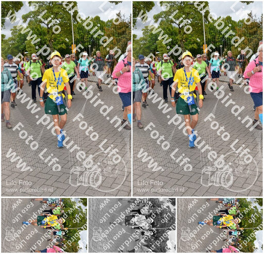 Evenement foto: Nijmeegse Vierdaagse 1164