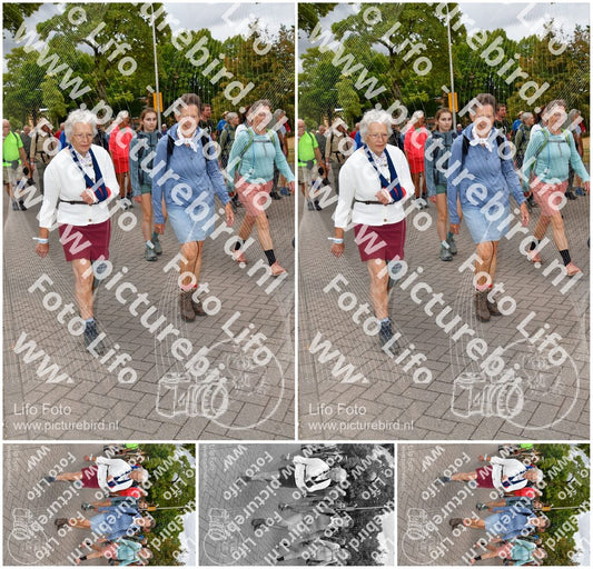 Evenement foto: Nijmeegse Vierdaagse 1164