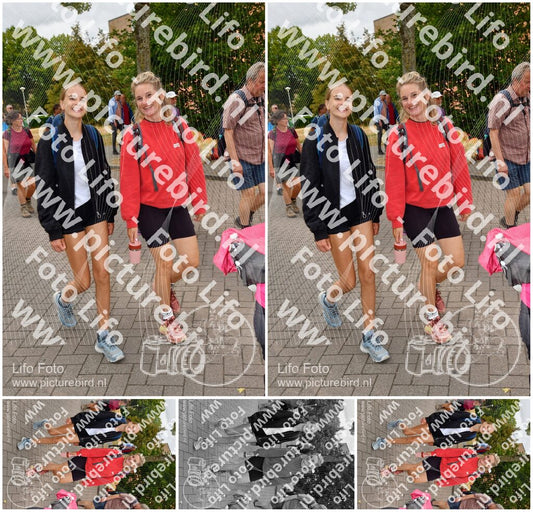 Evenement foto: Nijmeegse Vierdaagse 1164