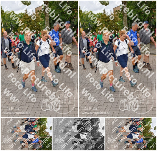 Evenement foto: Nijmeegse Vierdaagse 1164