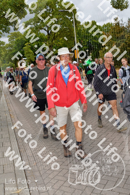 Evenement foto: Nijmeegse Vierdaagse 1164