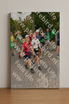 Evenement foto: Nijmeegse Vierdaagse 1164
