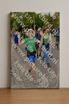 Evenement foto: Nijmeegse Vierdaagse 1164
