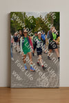 Evenement foto: Nijmeegse Vierdaagse 1164