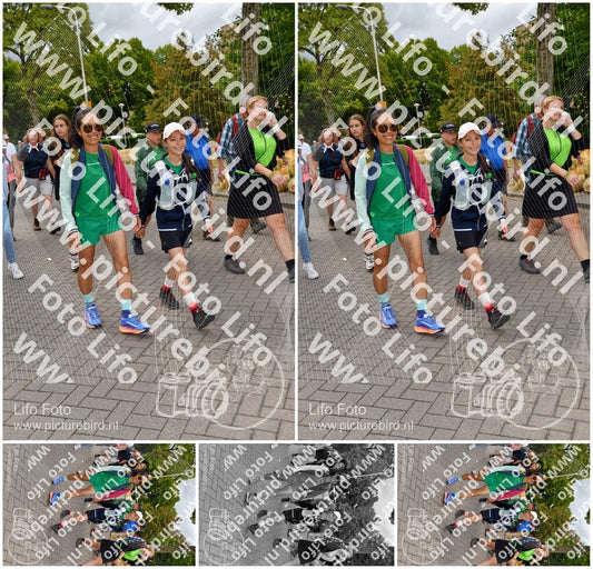 Evenement foto: Nijmeegse Vierdaagse 1164