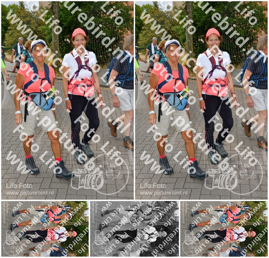 Evenement foto: Nijmeegse Vierdaagse 1164