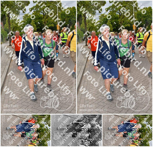 Evenement foto: Nijmeegse Vierdaagse 1164