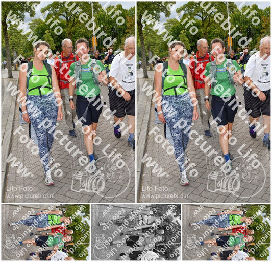 Evenement foto: Nijmeegse Vierdaagse 1164