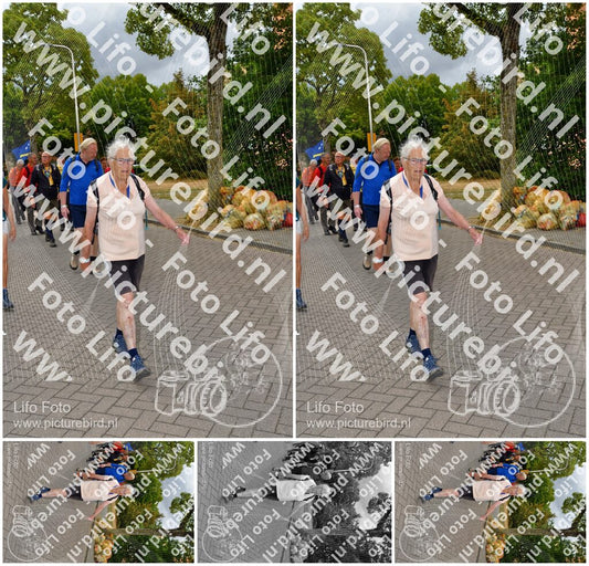 Evenement foto: Nijmeegse Vierdaagse 1164
