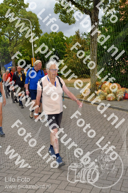 Evenement foto: Nijmeegse Vierdaagse 1164