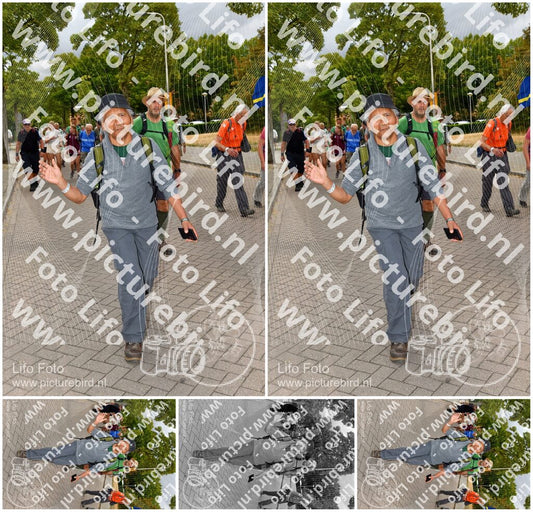 Evenement foto: Nijmeegse Vierdaagse 1164