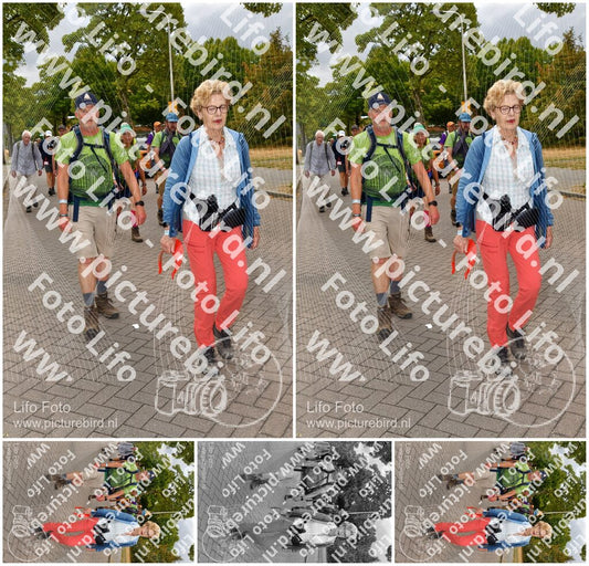 Evenement foto: Nijmeegse Vierdaagse 1164
