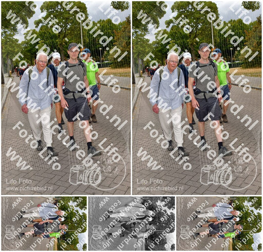 Evenement foto: Nijmeegse Vierdaagse 1164