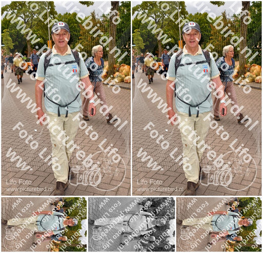 Evenement foto: Nijmeegse Vierdaagse 1164