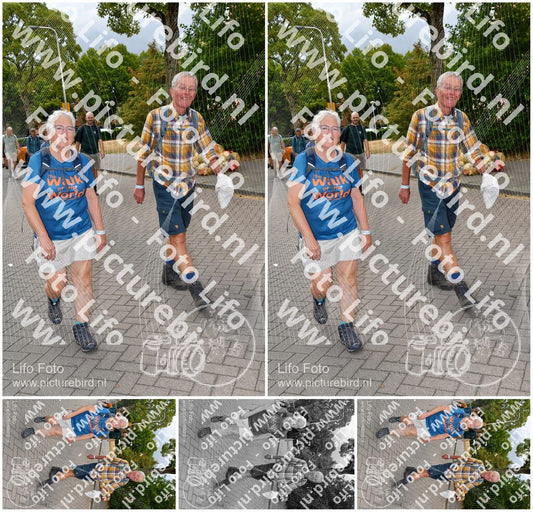 Evenement foto: Nijmeegse Vierdaagse 1164