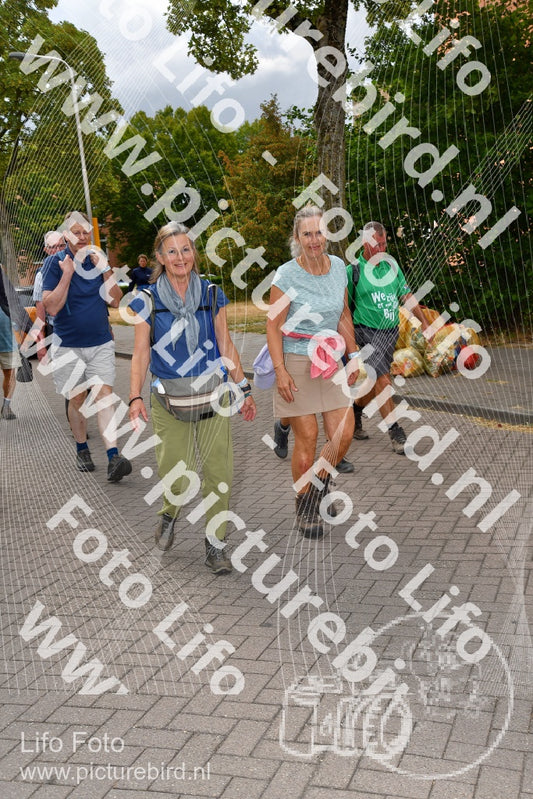 Evenement foto: Nijmeegse Vierdaagse 1164