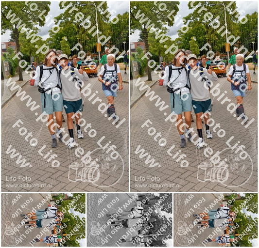 Evenement foto: Nijmeegse Vierdaagse 1164