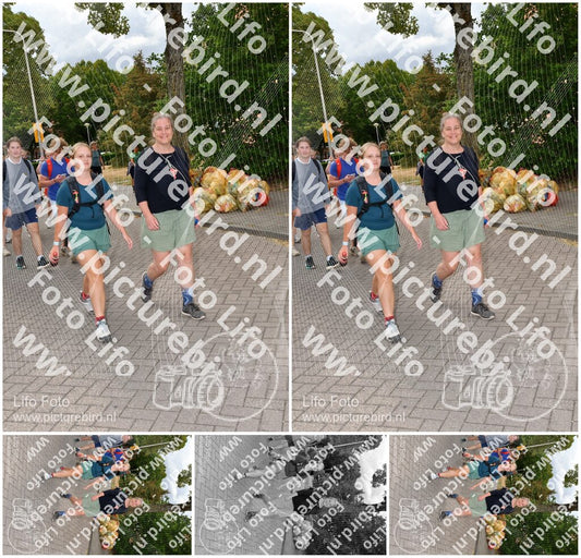 Evenement foto: Nijmeegse Vierdaagse 1164