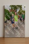 Evenement foto: Nijmeegse Vierdaagse 1164