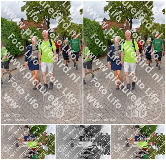 Evenement foto: Nijmeegse Vierdaagse 1164