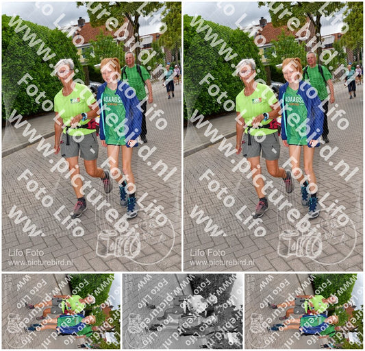 Evenement foto: Nijmeegse Vierdaagse 1164