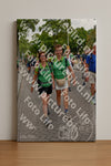 Evenement foto: Nijmeegse Vierdaagse 1163