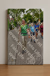 Evenement foto: Nijmeegse Vierdaagse 1163