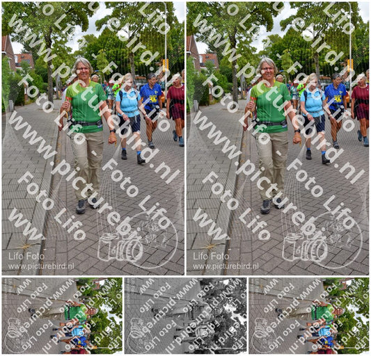 Evenement foto: Nijmeegse Vierdaagse 1163