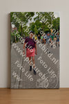Evenement foto: Nijmeegse Vierdaagse 1163